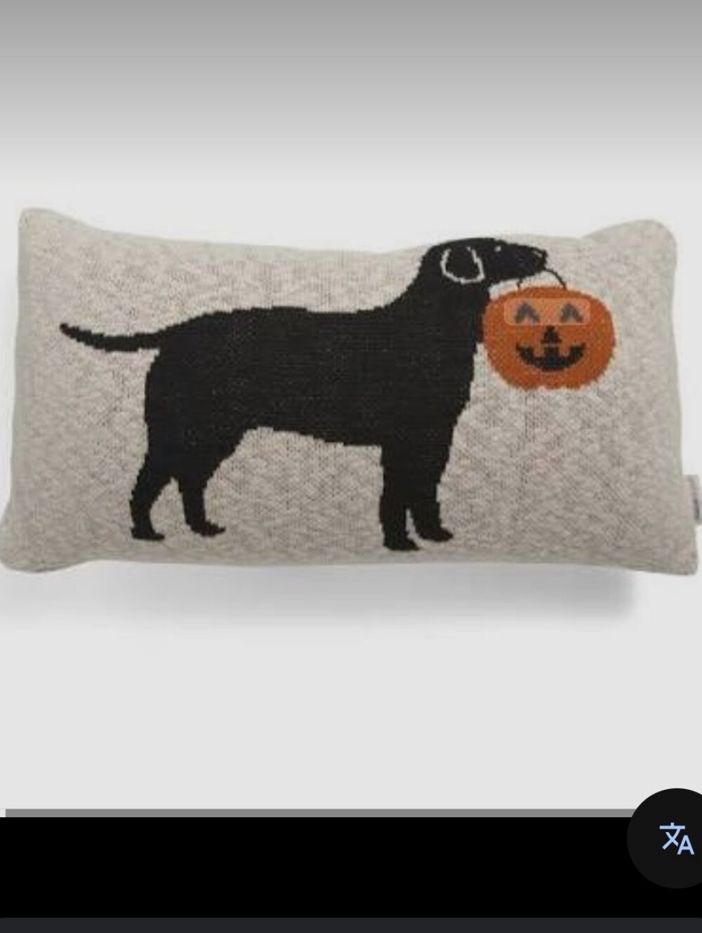 ISO HALLOWEEN DOG PILLOW